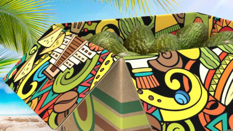 Custom printed corrugated shipping box with logo on exterior