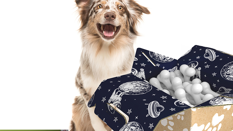 Eco-friendly Kraft gable box for pet toys