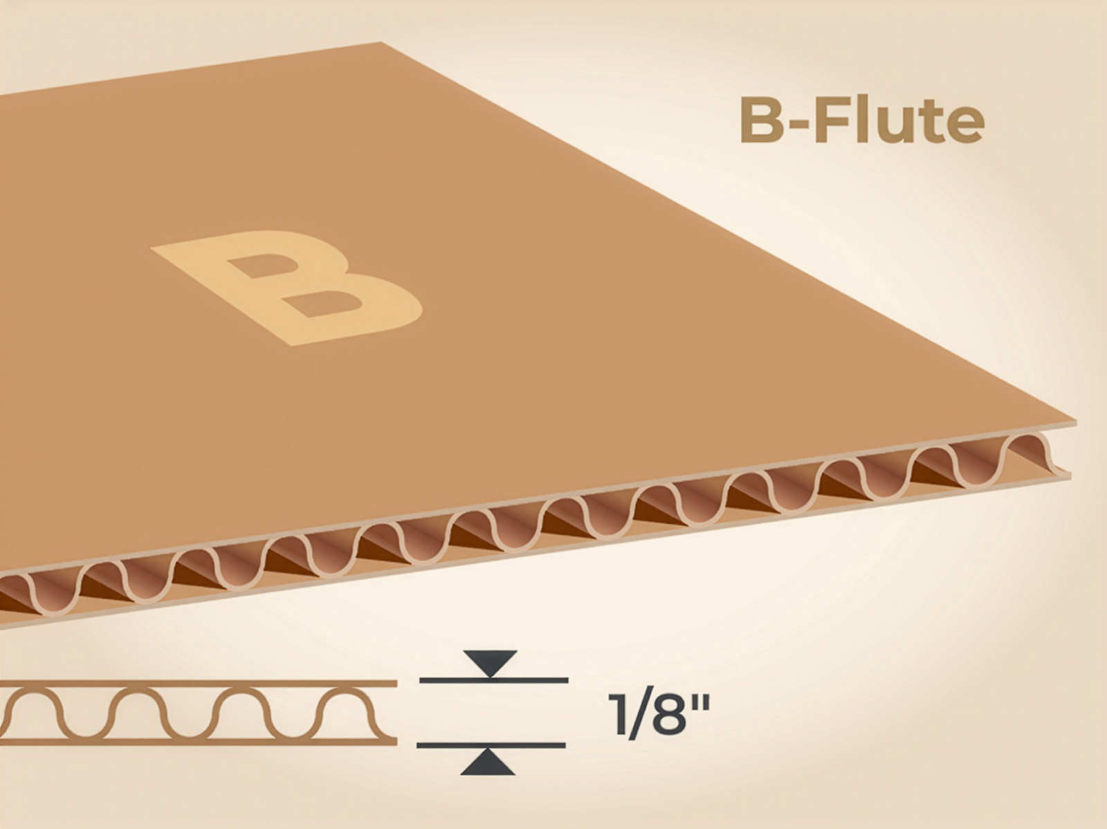 B-Flute cross-section showing 1/8 inch thickness