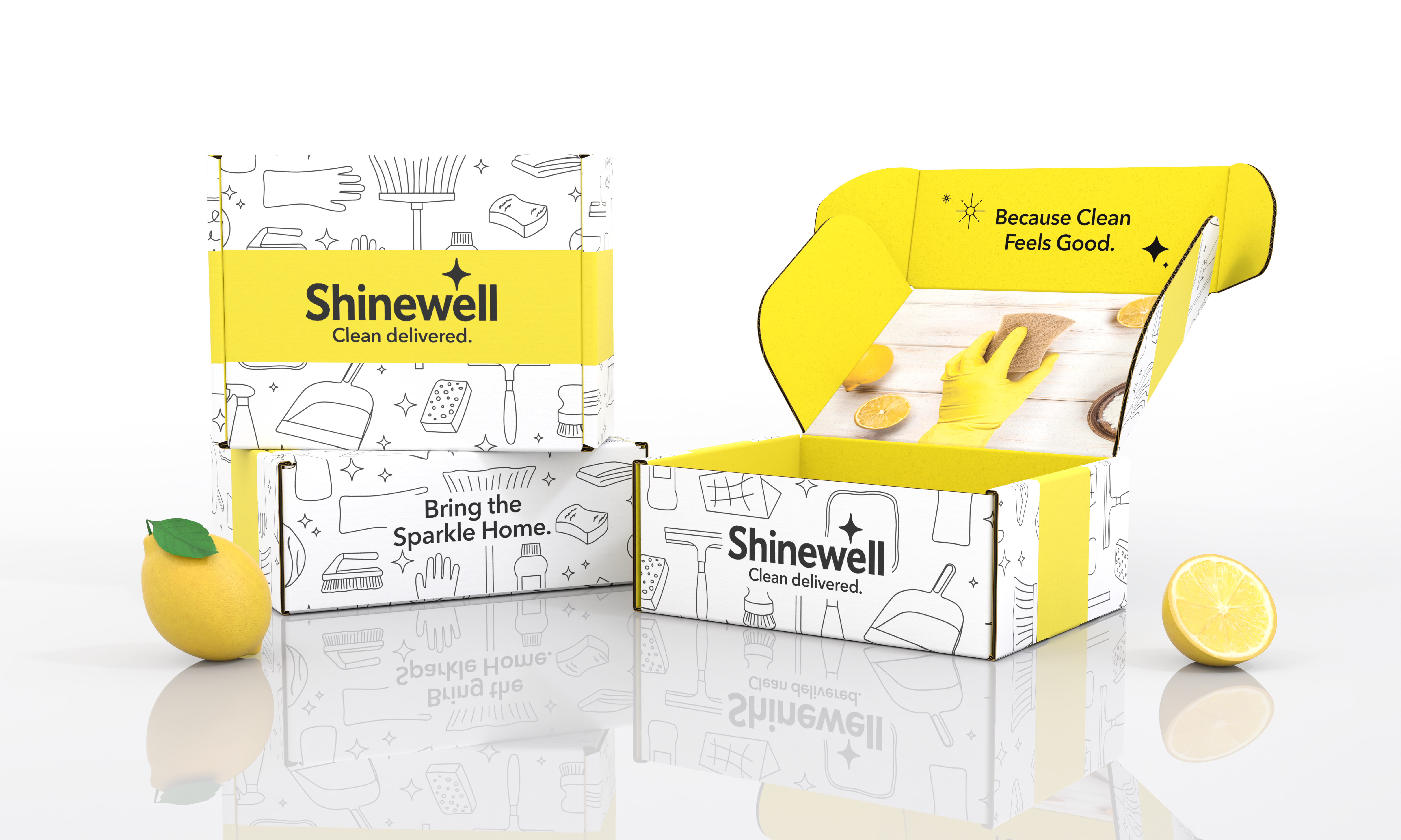 Mailer box packaging preview